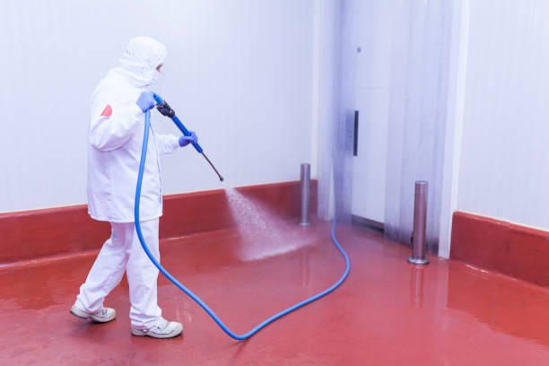 Best Patio and Deck Pressure Washing  in Phelan, CA