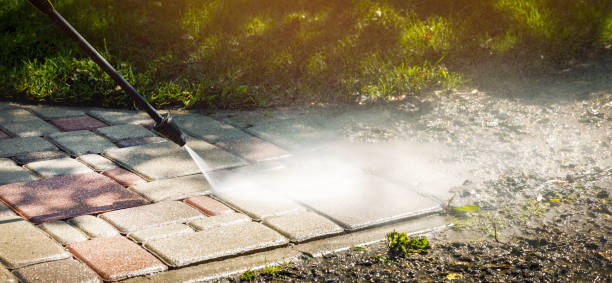 Animal Enclosure Cleaning in Phelan, CA